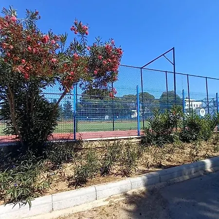 Rahat Ev Apartment Bodrum